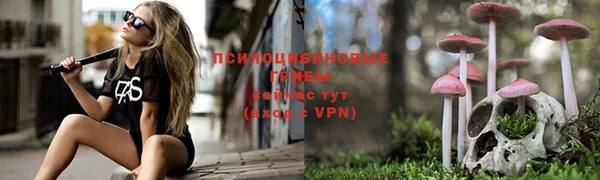СК Алзамай