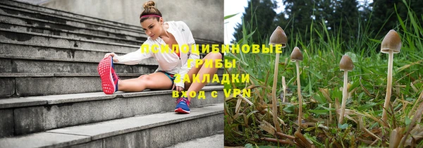 прущие грибы Алексин