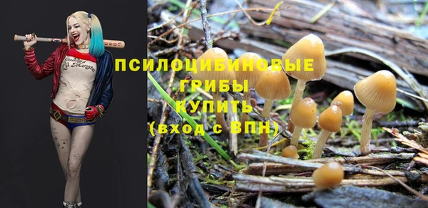 ешки Алексеевка